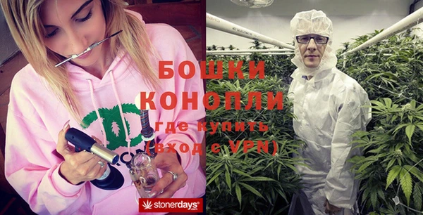 PSILOCYBIN Алзамай