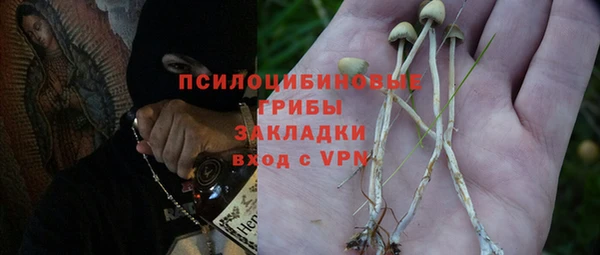 СК Алексин
