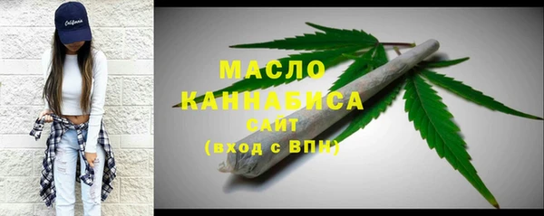 СК Алексин