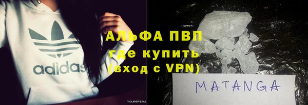 PSILOCYBIN Алзамай