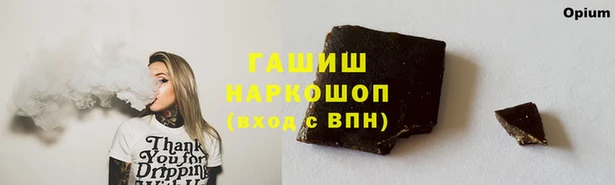СК Алексин