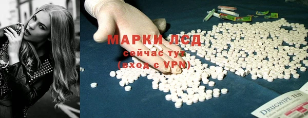 PSILOCYBIN Алзамай