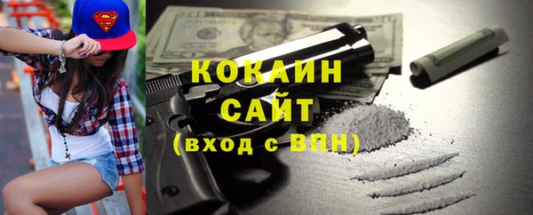 СК Алексин