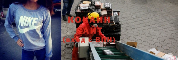 СК Алексин