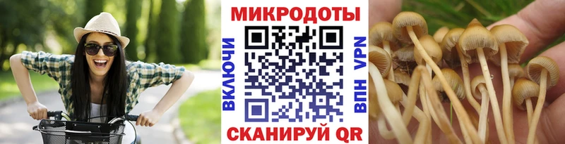Псилоцибиновые грибы GOLDEN TEACHER Буй